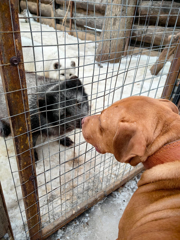 68FEA811-949F-446B-8C9A-9DA2094BB693