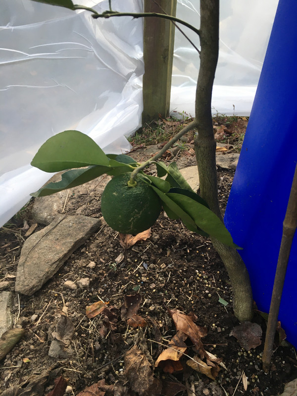 1D4EE352-4219-4C77-987C-ABEFA5EBB52E