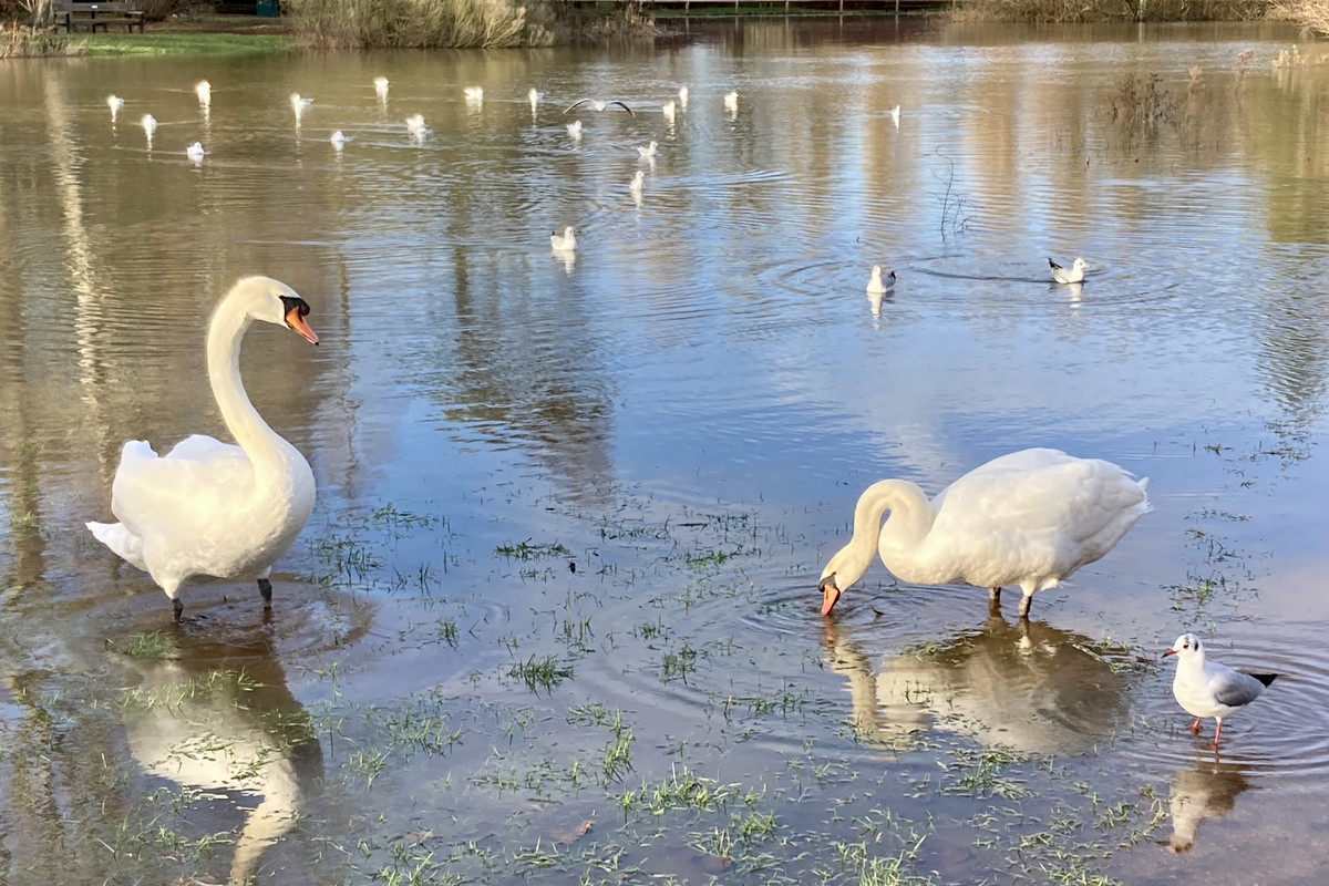 C874C806-4CD9-42CF-9710-576F7305572F