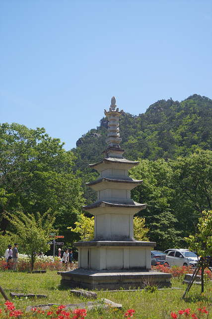 DSC06542