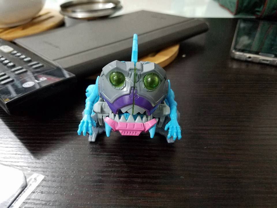 14705705_1129528490466892_1647818360024937655_n