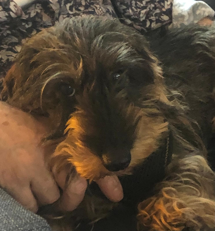 [Image: IMG-20250521-WA0003.jpg]