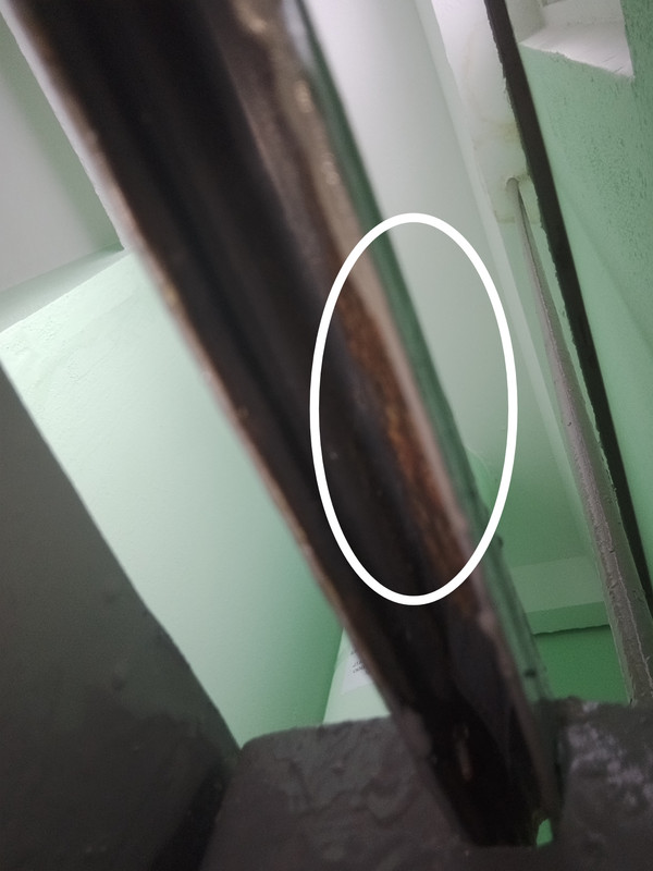 IMG 20260211 122937 66