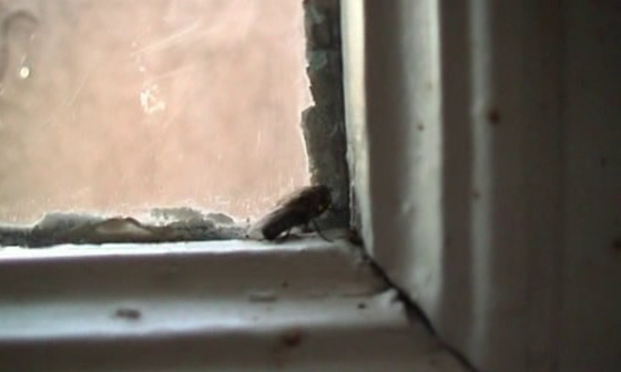 vlcsnap-2024-01-28-10h10m50s862