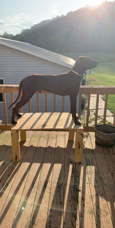 88379B90-EE2B-4A3B-9401-607AF7C24FDF