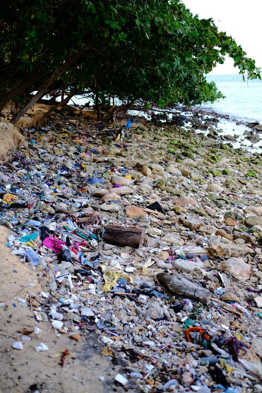 A1C4A749-79D9-44ED-AFB8-447C96453841