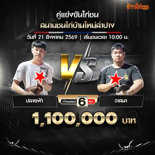 โปรแกรมไก่ชน สนามชนไก่บ้านใหม่ลำปาง 21 สิงหาคม 2569 ปลายฟ้า พบ วาสนา