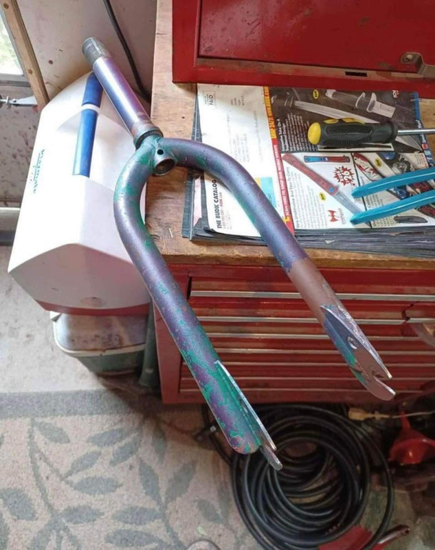 406111845_224540560595403_495513008548079368_n (1)