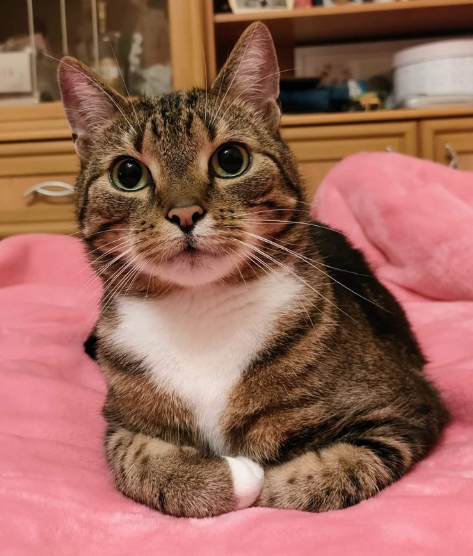 FB IMG 1726783048688 121600