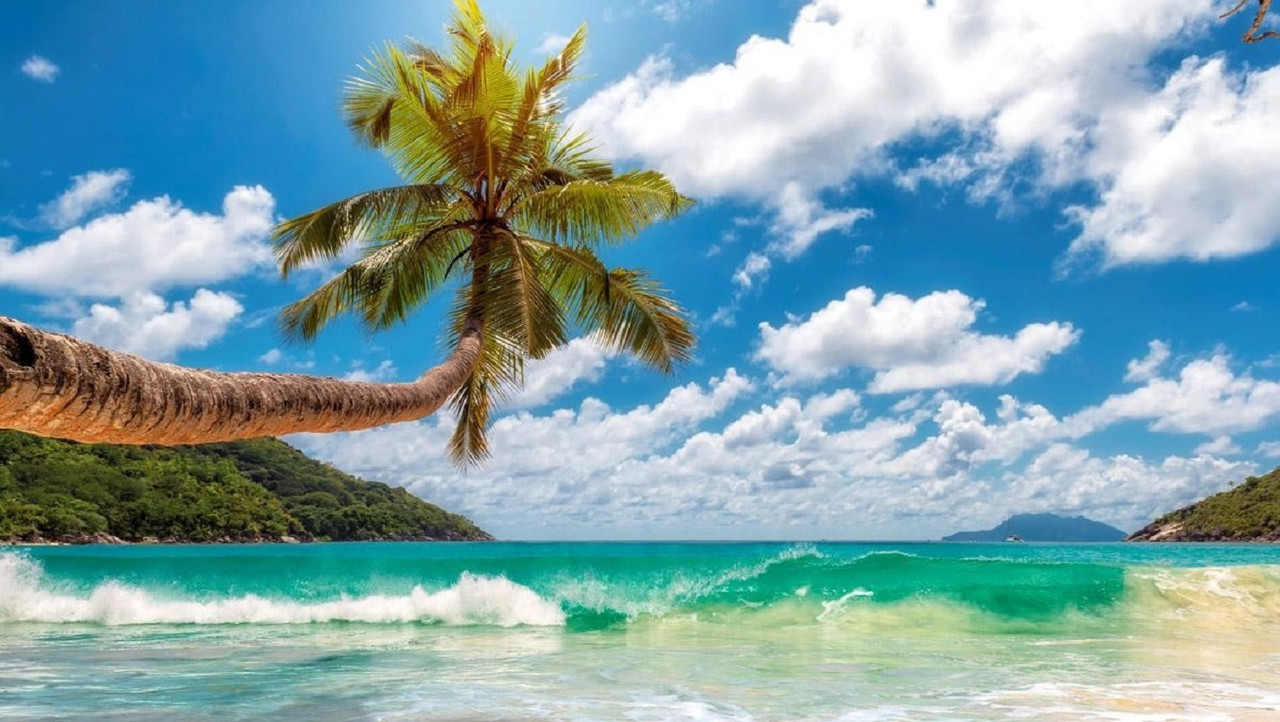 ¿Dónde se encuentran las playas más limpias de México?