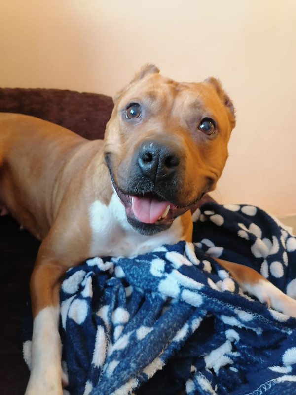 WhatsApp Image 2023-01-31 at 14.42.17 (1)