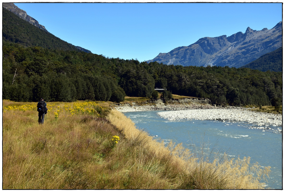 Mt Aspiring NP: Rees-Dart Track y Cascade Saddle (febrero 2023) - Escapadas y rutas por la Nueva Zelanda menos conocida (57)