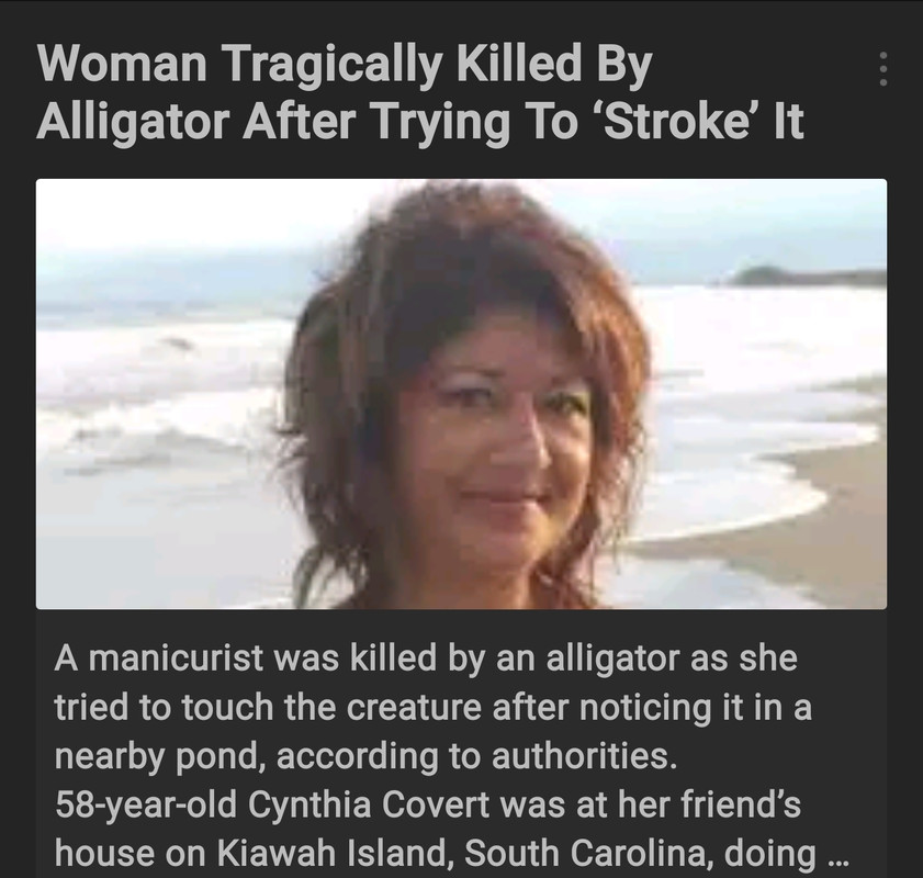 Screenshot_20200513-213420_News Break