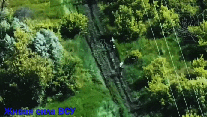 https://i.postimg.cc/43HKqSFL/video-2026-06-22-15-37-31-(1).gif