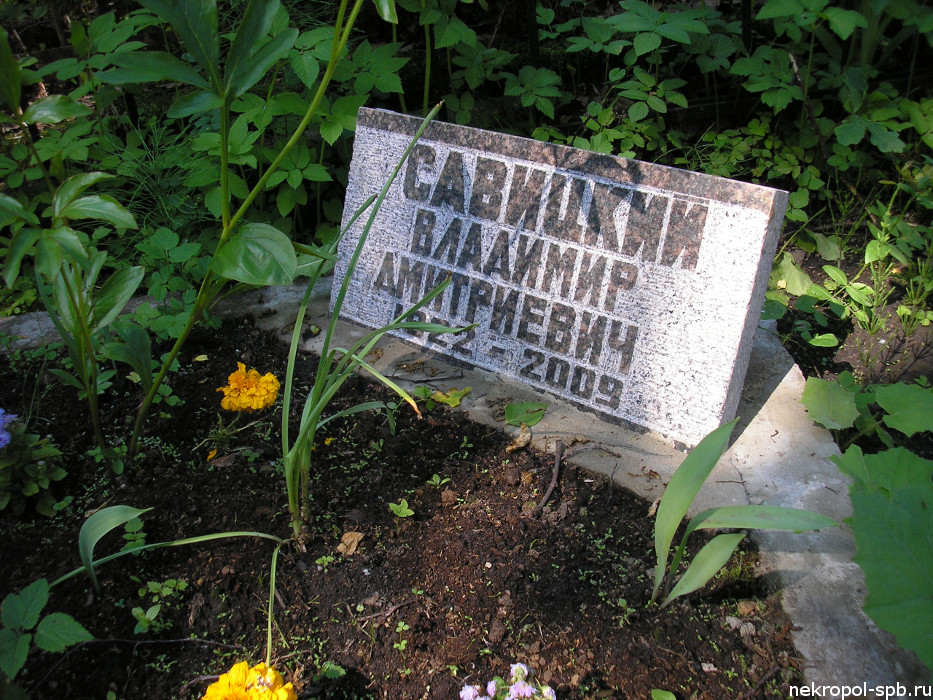 Savitskiy-Vladimir-Dmitrievich