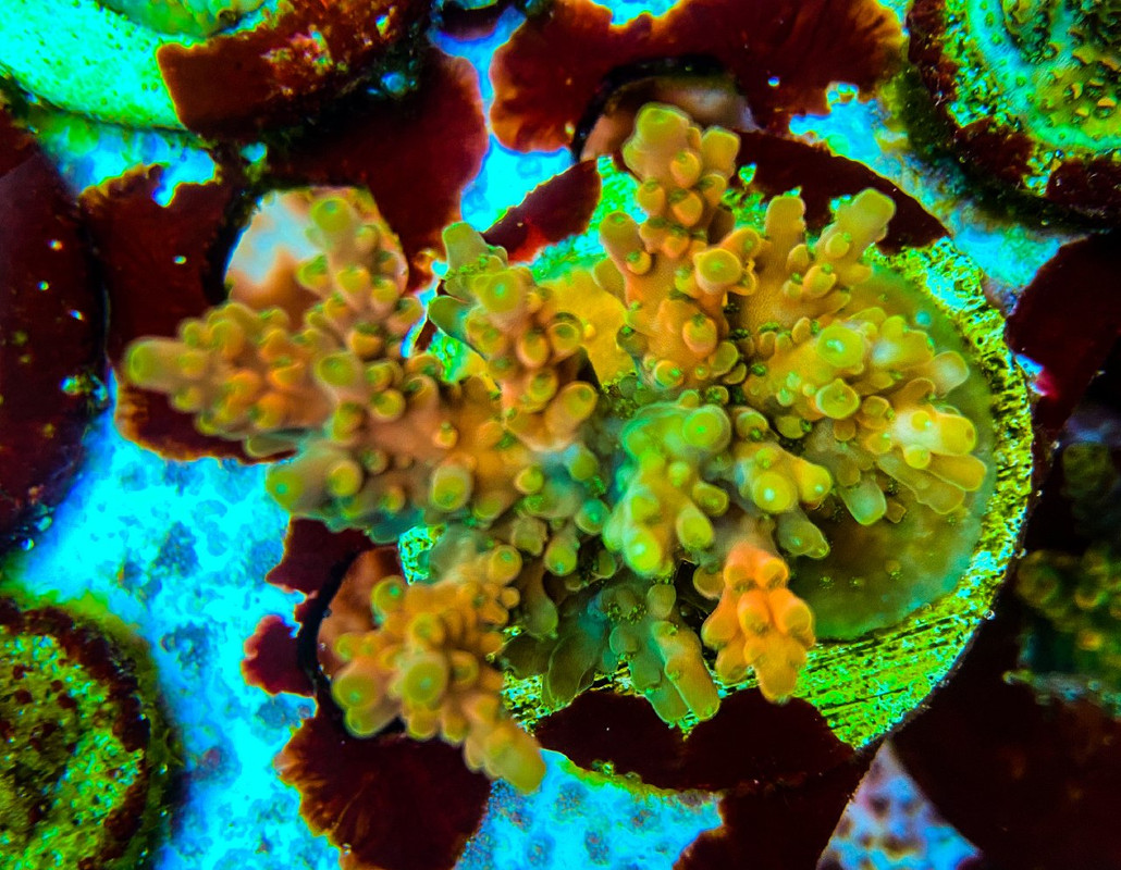 9759B74A-75A1-45F5-B8AD-EFEC1C76F2F7