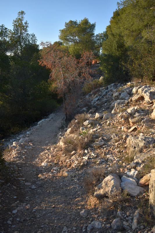 Το ανάκτορο του Αίαντα του Τελαμώνιου (4)