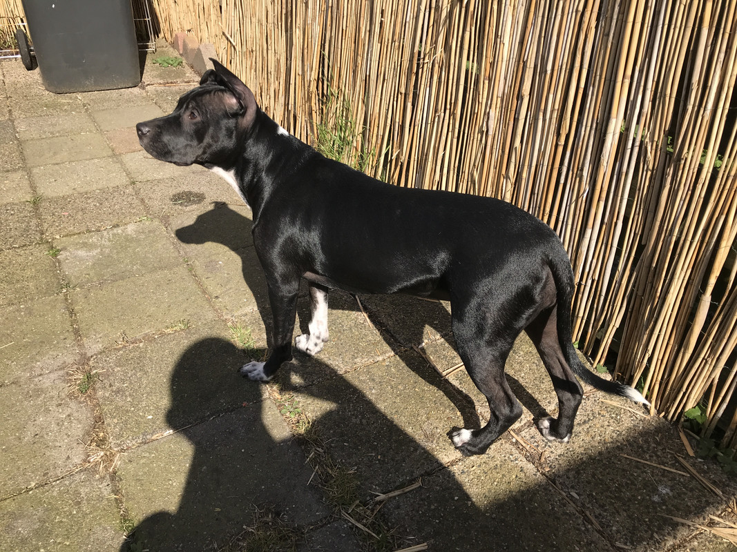 8AF33F05-239F-4B87-911E-F067F05B538B