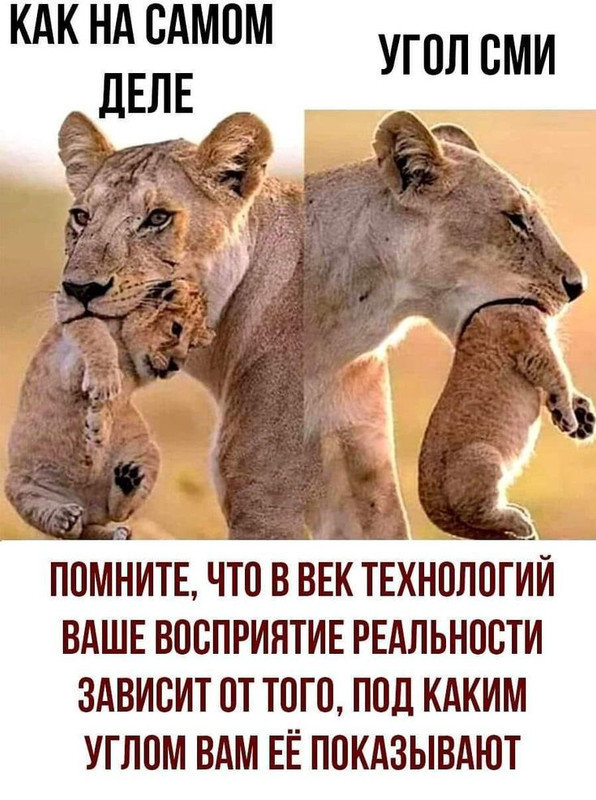 [Изображение: 44b8c47bf82f19d9e9e1f955f4d0b6b2.jpg]
