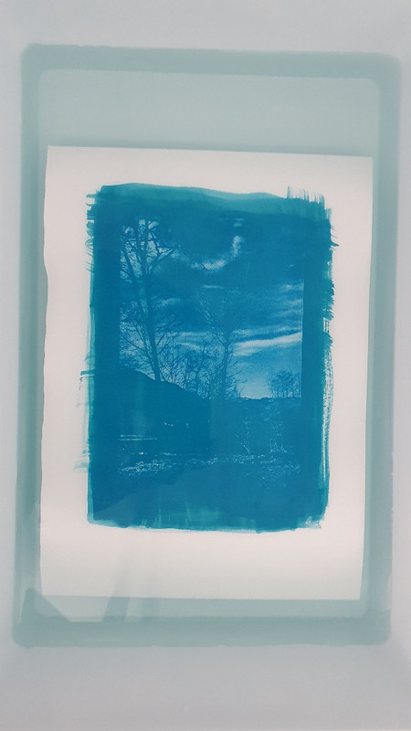 20210320_122734 (576x1024)