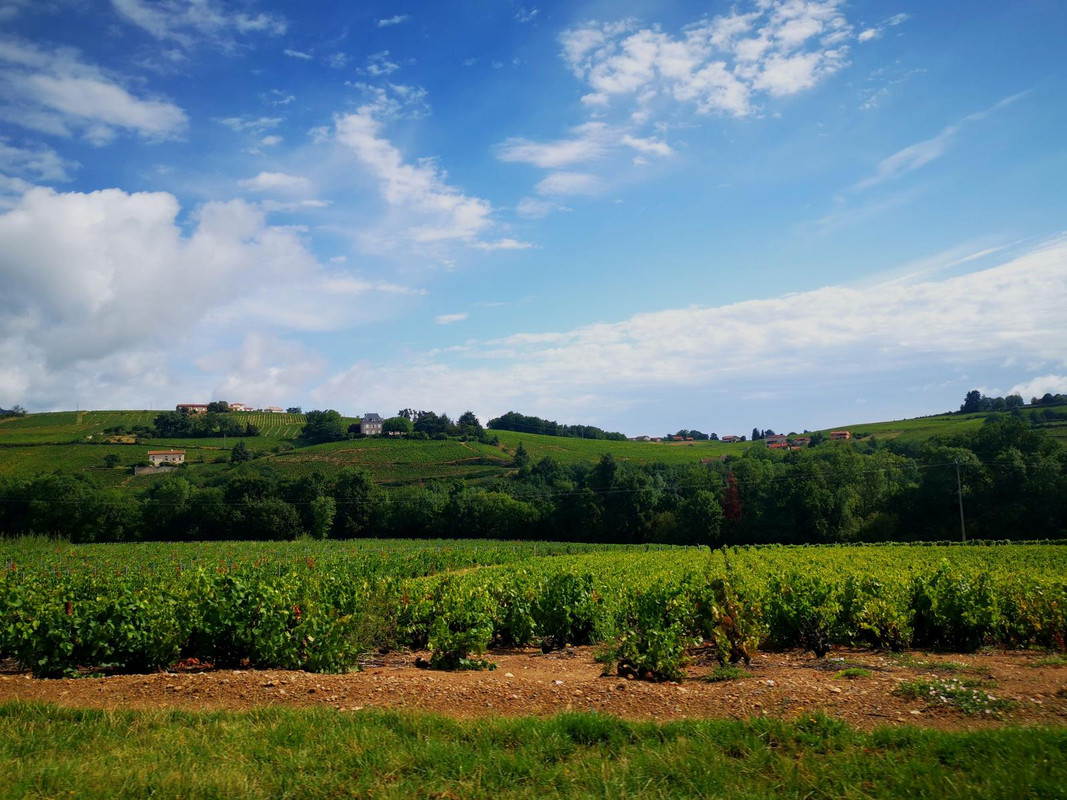 Bourgogne2019 (24).jpg.1