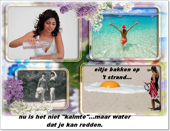 Klik op de afbeelding om de link te volgen