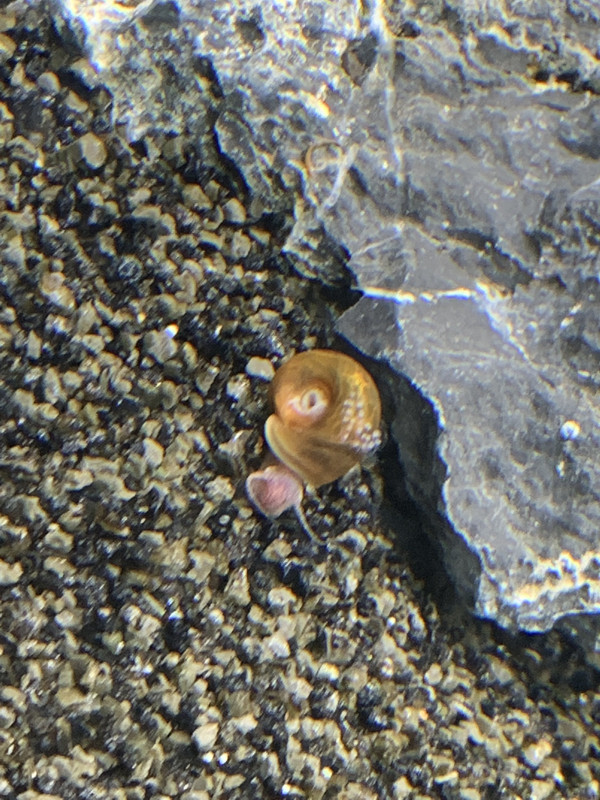 85CCC55E-A33E-409F-9FDA-CD6C75B93FA5