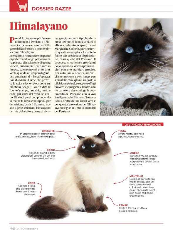 Ga Ma Ago-Set 2023 (6)