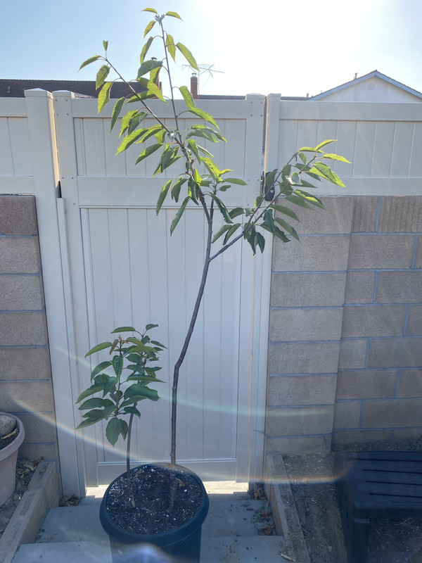 B8AB3040-5D0B-442C-86F1-614A5B9BF48D