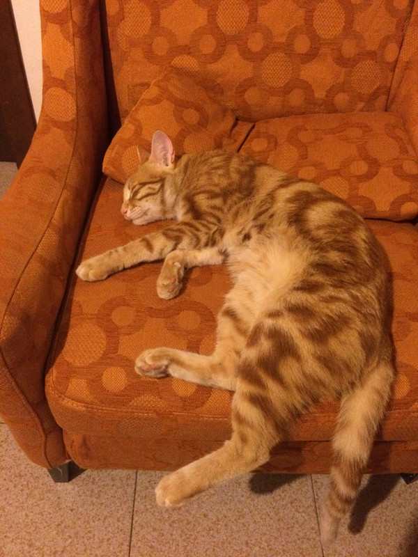 D7E475EB-811A-4B82-93F0-BE1C16145DAF