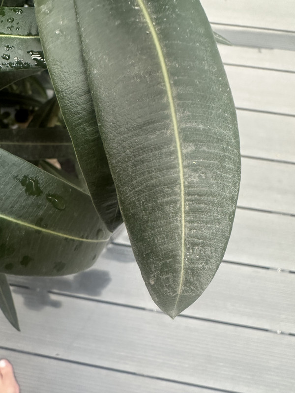 BA490EEF-CF9C-415F-8CF5-1331A02DC777