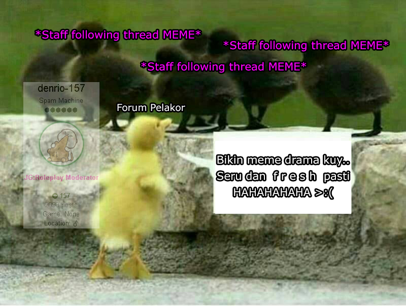 meme-37.jpg