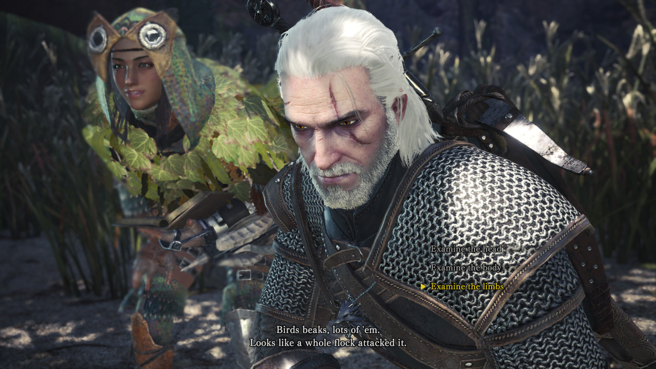 monster-hunter-world-witcher-crossover.jpg