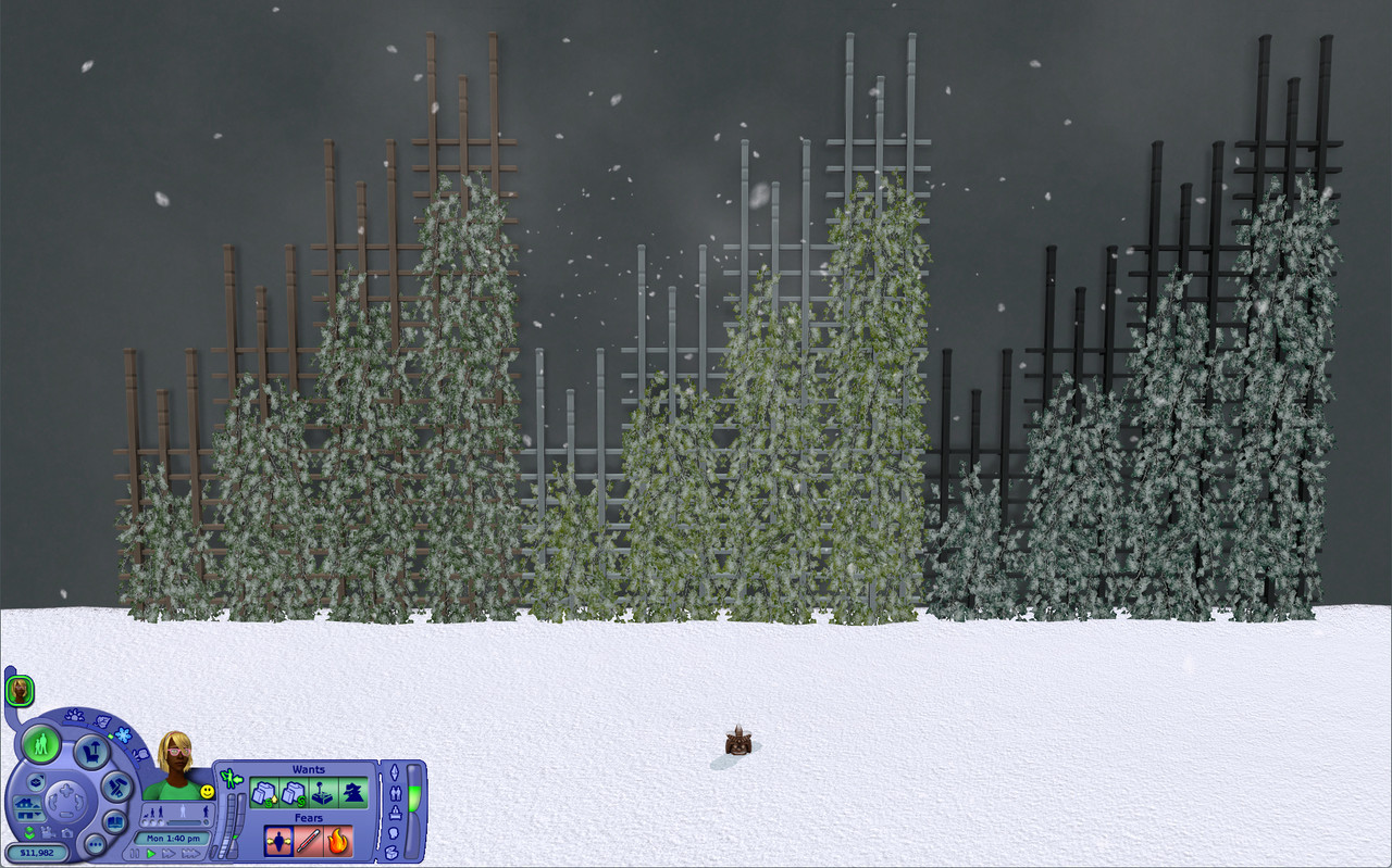 winter-thic-snow