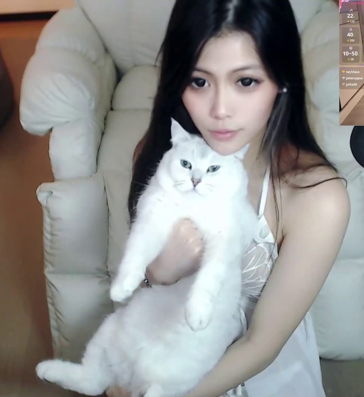 [Image: 2024-09-18-akina520-cat2.jpg]