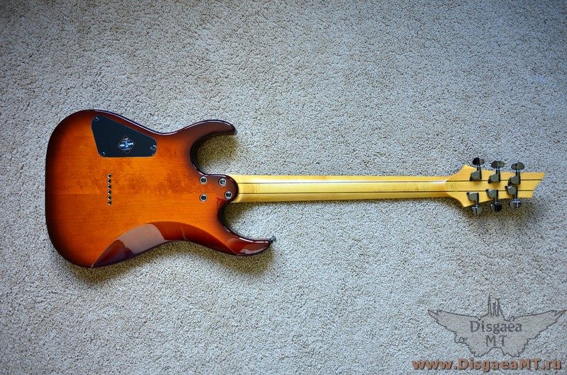 Schecter_Banshee-6_Passive_1-FVSB_019
