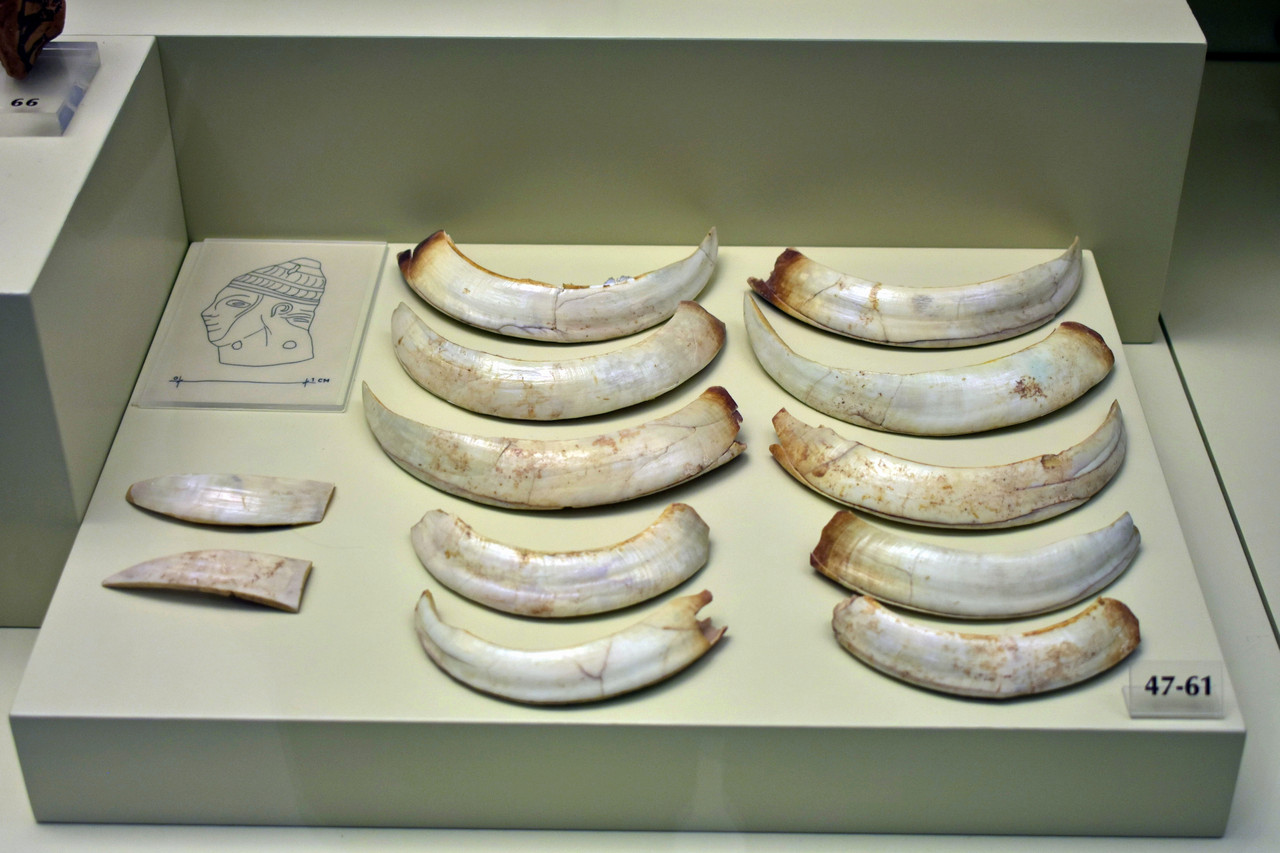 Αρχαιολογικό Μουσείο Μυκηνών (43)