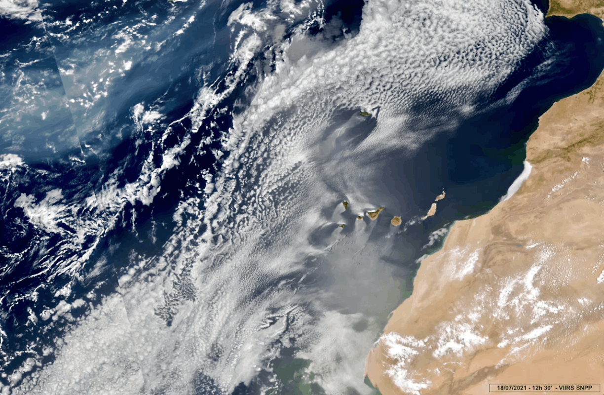 Large GIF (1276x834)