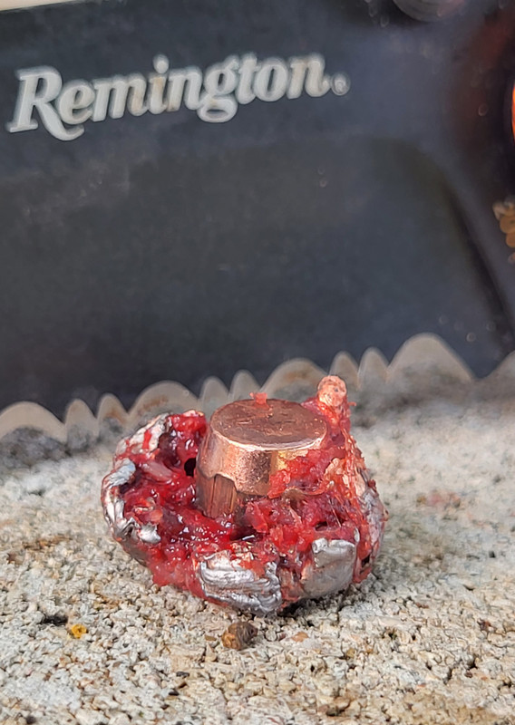 accubond-125gr-june-2023