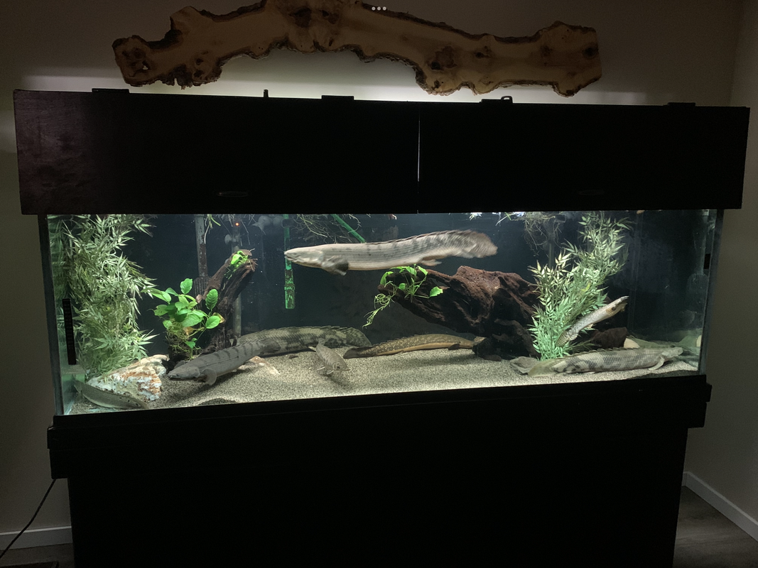 AC3D4E47-FECF-45C9-8AD2-123C63E95E66