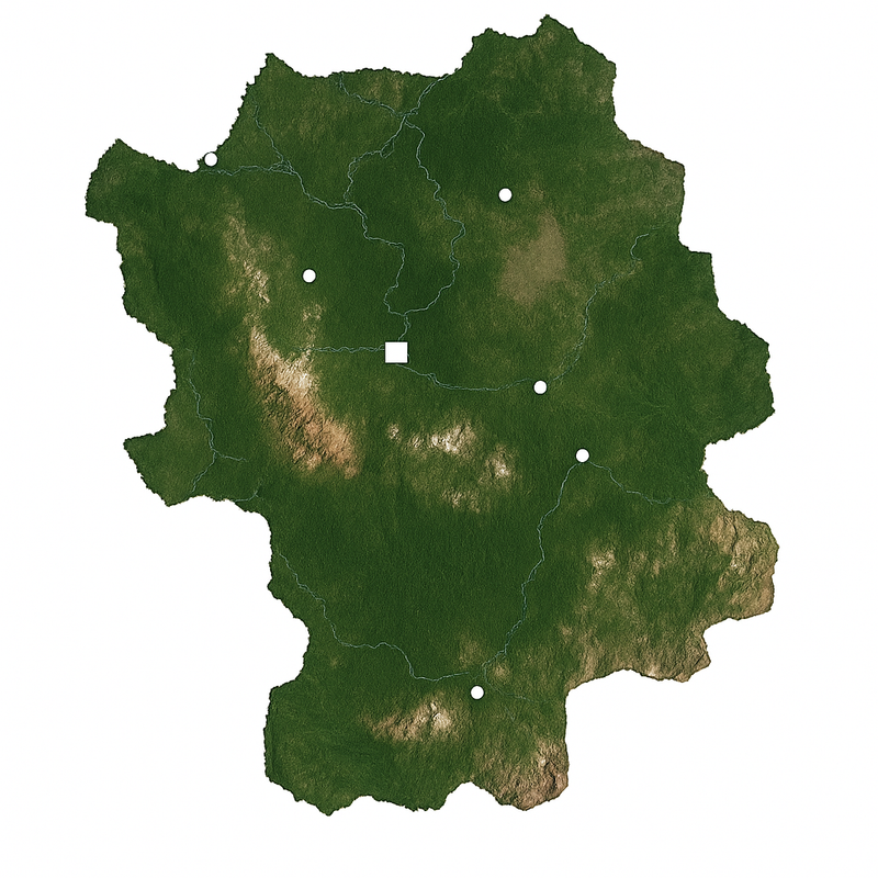 Carte Carte