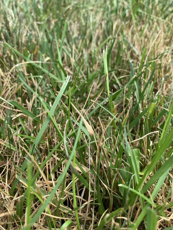 47C3BE50-B0CE-446A-B918-97E27A772D9E