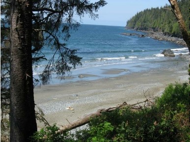 Juan De Fuca Marine trail