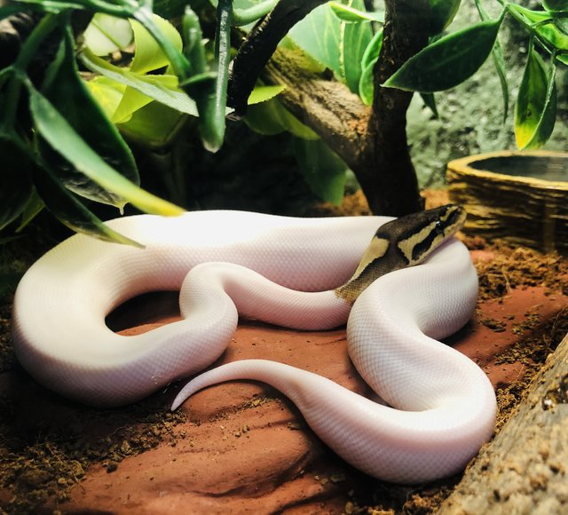 EF8FAC2B-13DB-440D-91B6-E194E6726F37