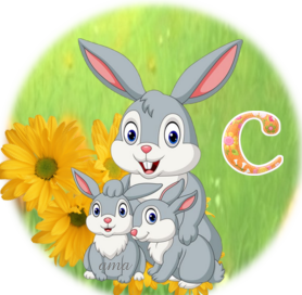 Serie Flia: Madre e Hija , Los Conejos C