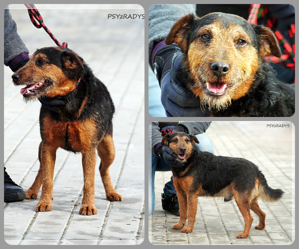 BeFunky-collage (21)