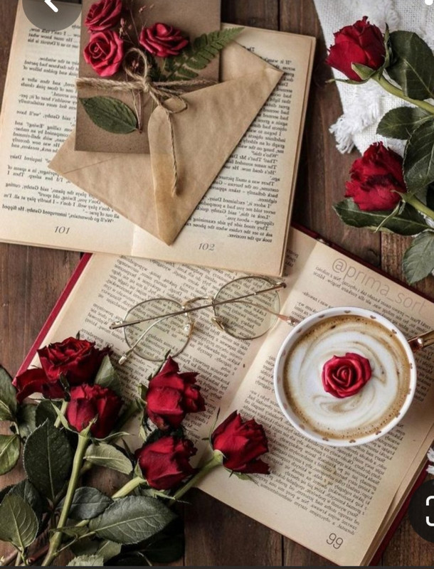 Screenshot_20230316_021358_Pinterest