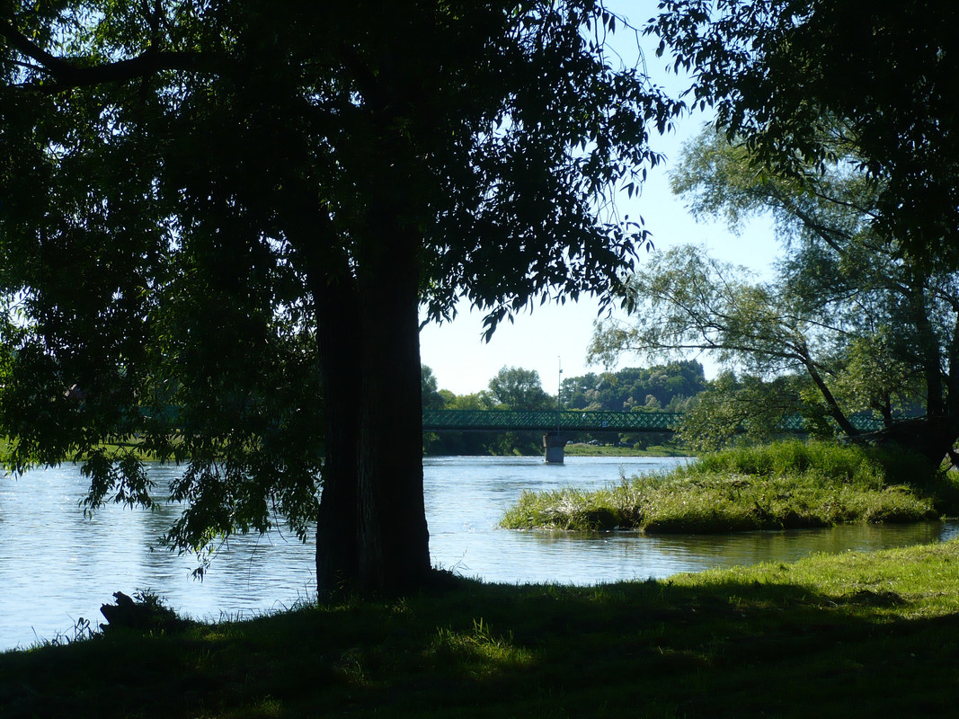 118 - P1060759 (Ace79)