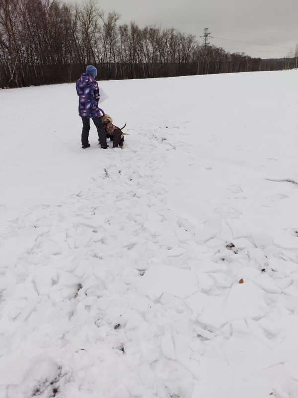 7735DD5A-82C8-4DAF-AE4E-E6193B72C37B