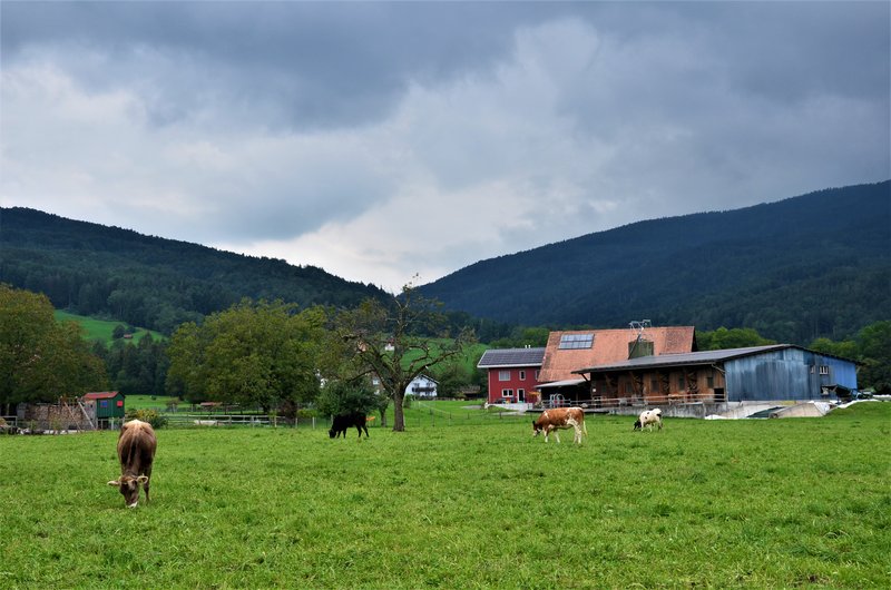 VILTERS-WANGS-6-9-2019 - Suiza y sus pueblos-2019 (12)